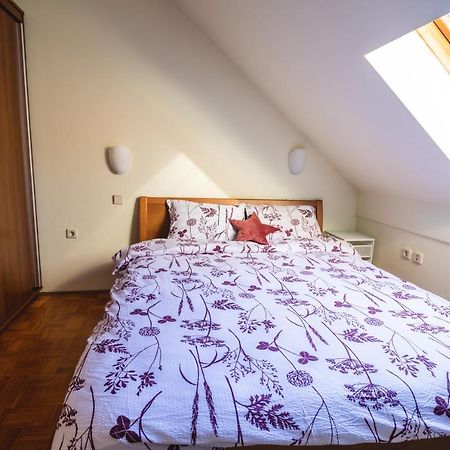 Relax Apartment In Banovci Verzej Екстер'єр фото